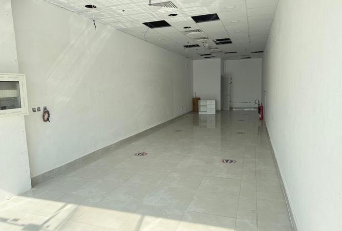 16034154 - Property Image 3