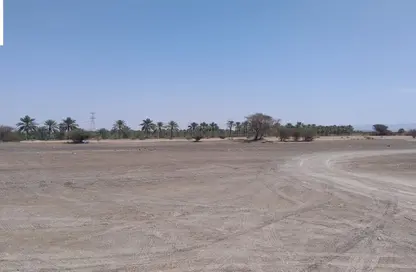 أرض - استوديو للبيع في المنامة - عجمان