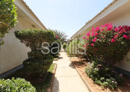 Villa - 3 bedrooms - 2 bathrooms for rent in Al Ghubaiba - Halwan - Sharjah