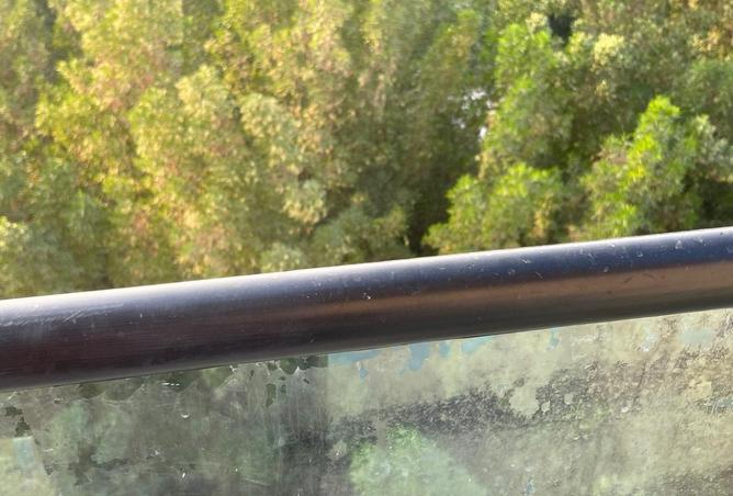 15768884 - Property Image 2