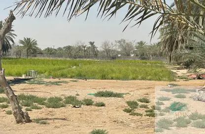 Farm - Studio for sale in Al Khatim - Abu Dhabi