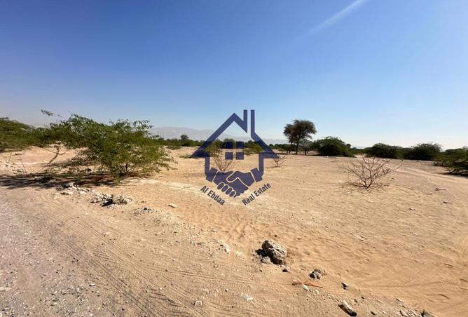 15708340 - Property Image 3