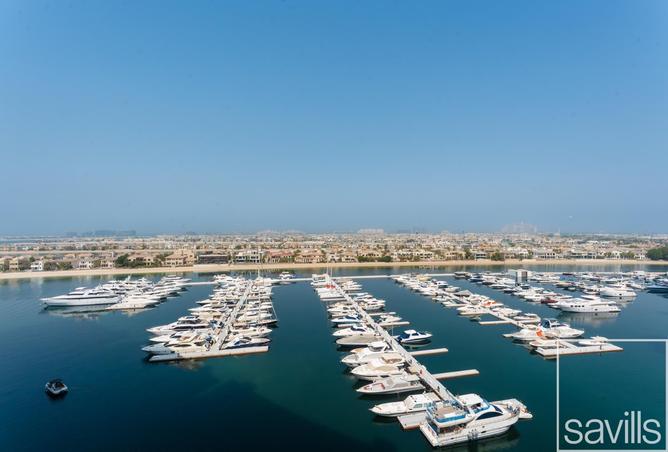 15488567 - صورة العقار 2