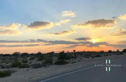 أرض - استوديو للبيع في تلال جبل علي - جبل علي - دبي