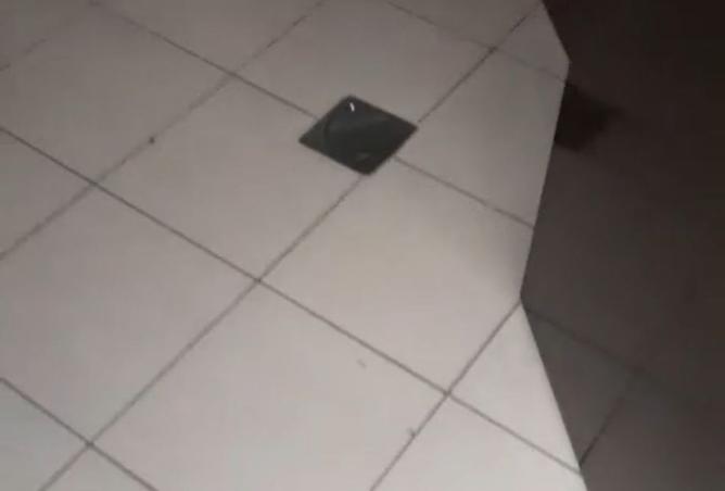 15585733 - Property Image 2