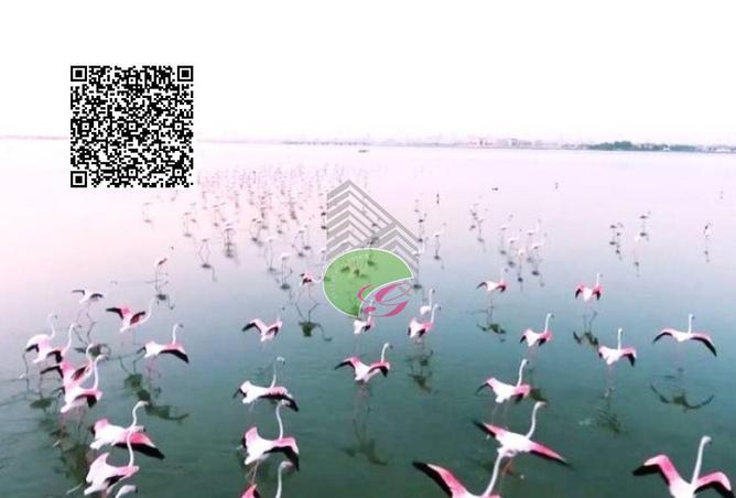 15732179 - صورة العقار 2