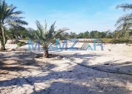 Farm for sale in Al Ajban - Abu Dhabi