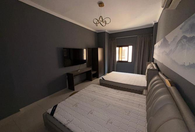 15719282 - Property Image 3