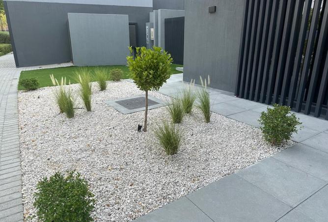 16006716 - Property Image 3