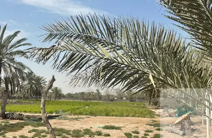 مزرعة - استوديو للبيع في الخاتم - أبوظبي