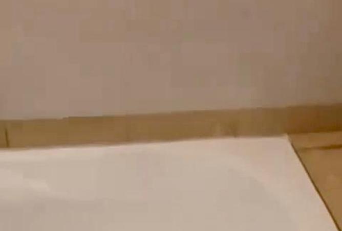 15581008 - صورة العقار 2