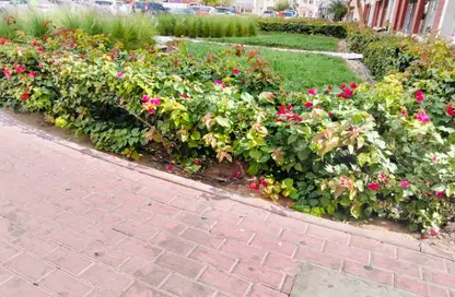 Apartment - Studio - 1 Bathroom for rent in X12 - England Cluster - International City - Dubai