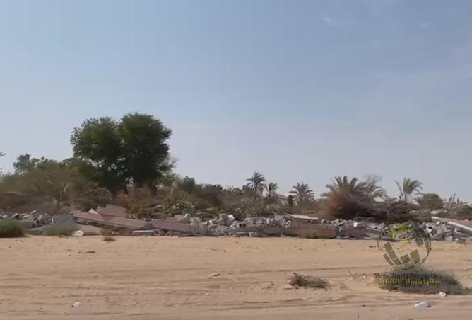 15580154 - Property Image 3