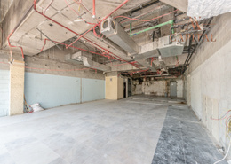Shell & Core | Pantry | Facing the park