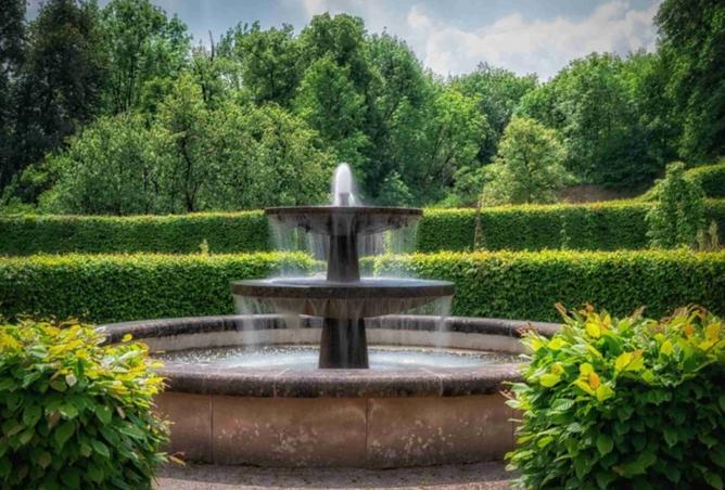 15500628 - صورة العقار 2