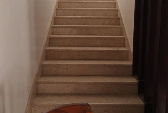 15216015 - صورة العقار 3