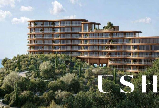 15894713 - Property Image 3