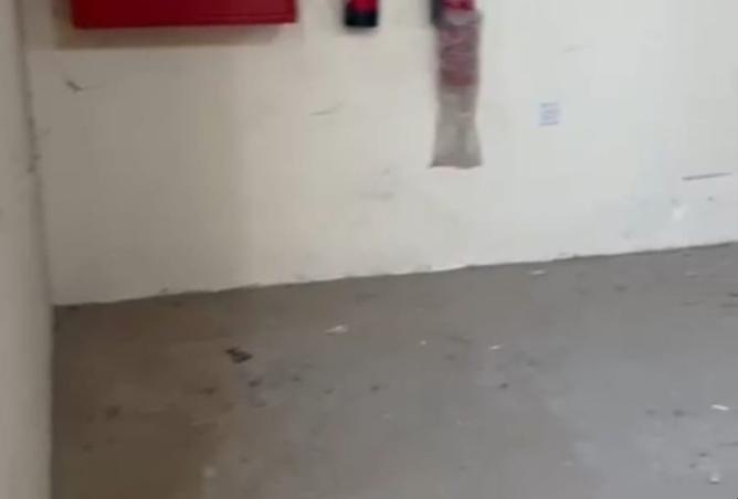 15129916 - Property Image 2