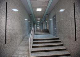 Apartment - 3 bedrooms - 3 bathrooms for rent in Abu shagara - Sharjah