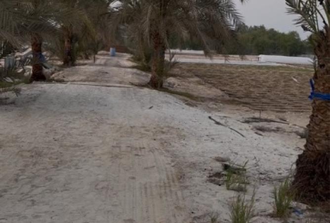 15571600 - صورة العقار 3