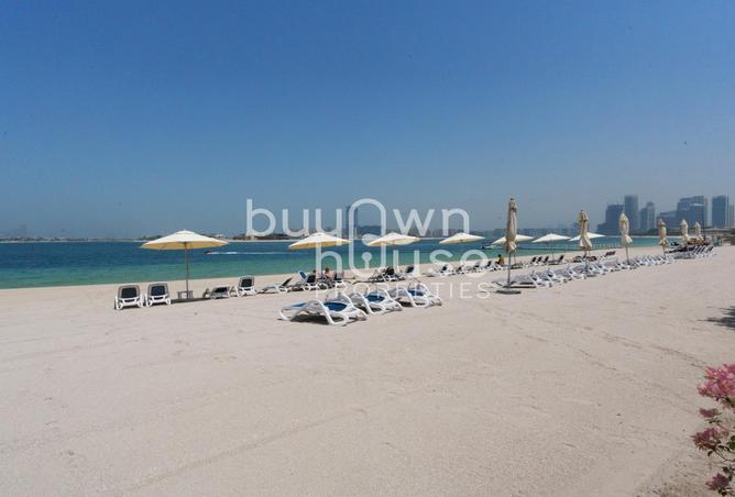 15569408 - Property Image 3