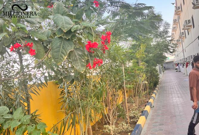 13983573 - صورة العقار 2