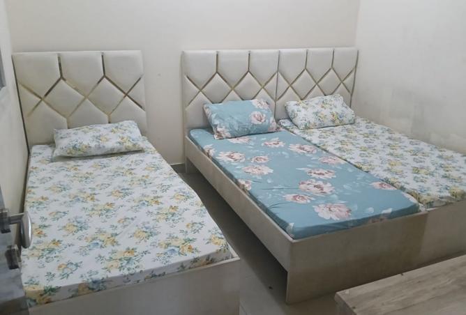 15487375 - Property Image 2