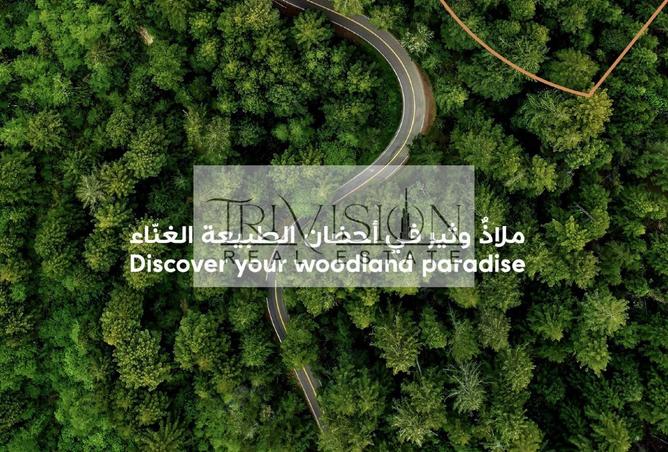 15484992 - صورة العقار 3