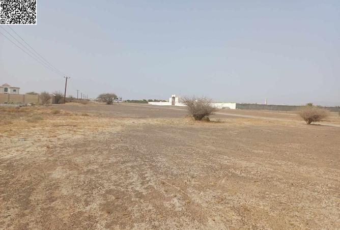 16064568 - Property Image 2