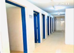 Labor Camp - 8 bathrooms for sale in Sonapur - Al Muhaisnah - Dubai