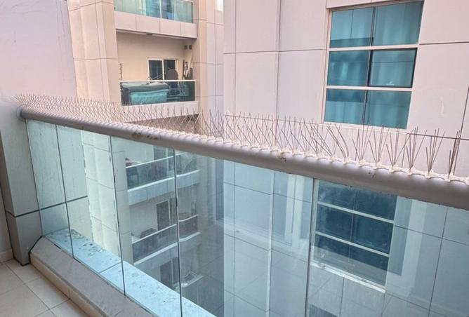 15797837 - Property Image 2