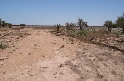 أرض - استوديو للبيع في الصجعة الصناعية - آلصجعه - الشارقة