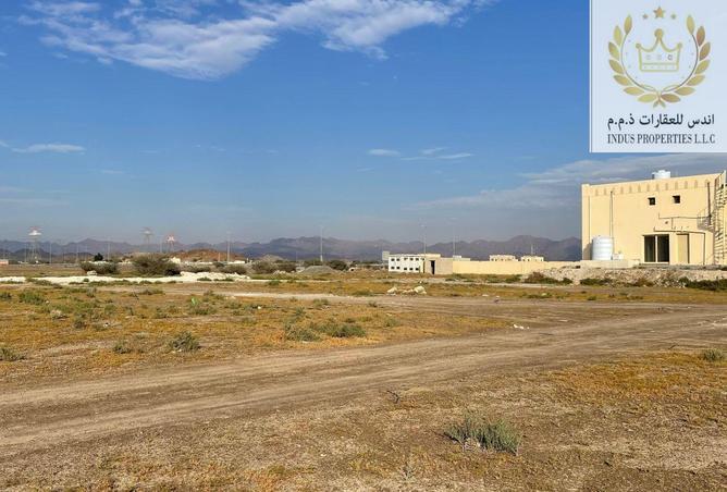 15524002 - Property Image 3