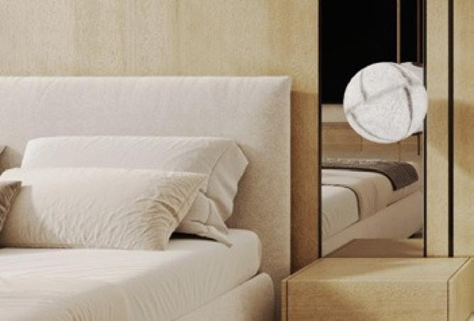 15666539 - صورة العقار 3