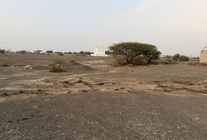 15575743 - Property Image 3