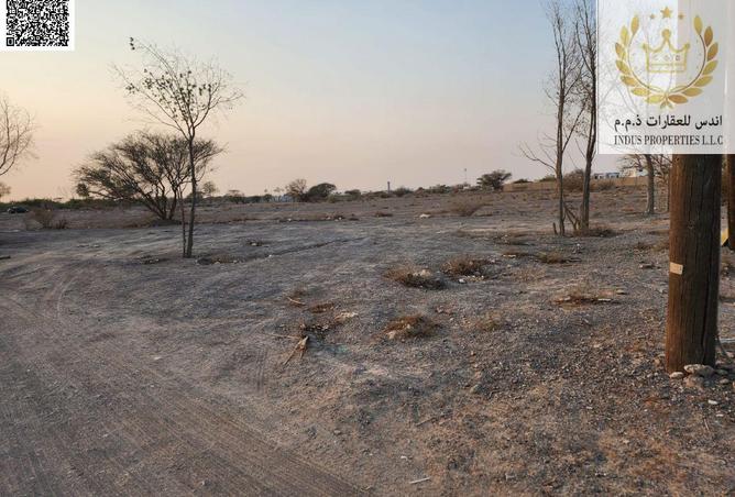 15306840 - صورة العقار 2