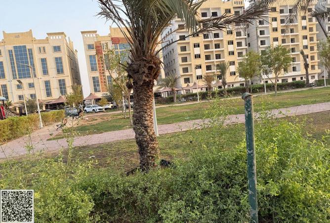 15136534 - صورة العقار 2