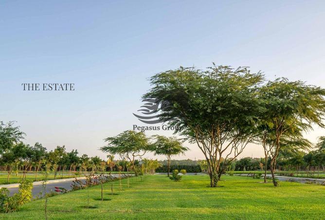 15499956 - صورة العقار 2