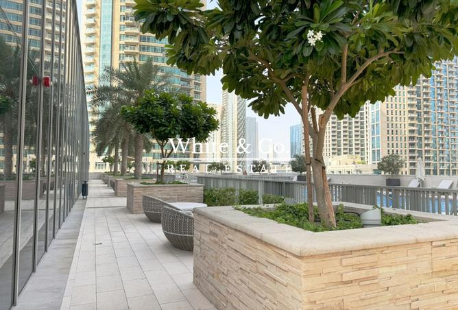 14624796 - Property Image 3