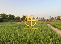 صورةحديقة لـ: مزرعة للبيع في مرابع الظفرة - مدينة زايد - أبوظبي, صورة 1
