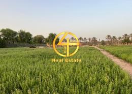 Garden image for: Farm for sale in Marabe Al Dhafra - Madinat Zayed - Abu Dhabi, Image 1