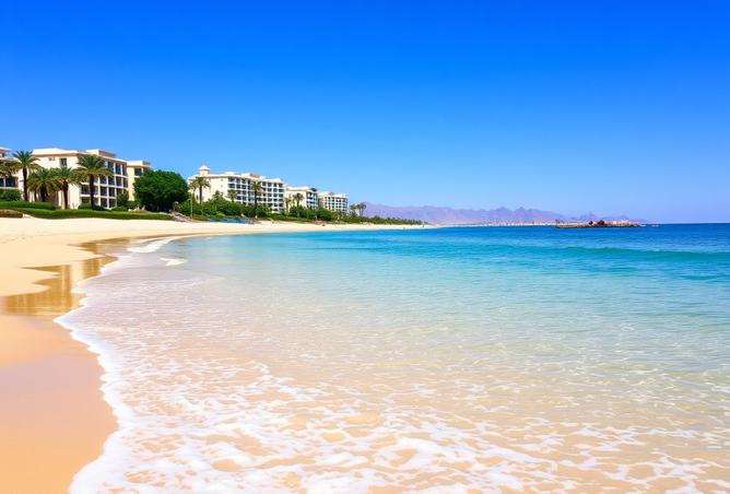 15691669 - Property Image 3