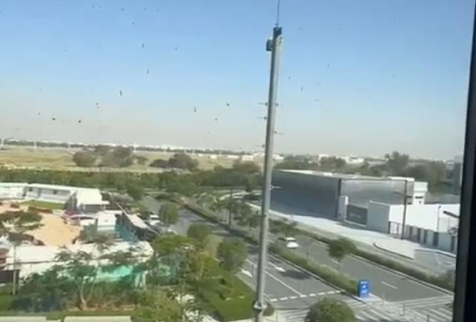 16042968 - Property Image 2