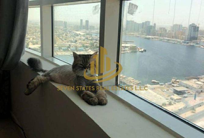 15299806 - Property Image 3