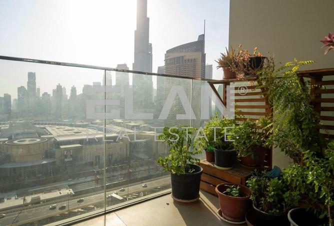 15864820 - صورة العقار 2