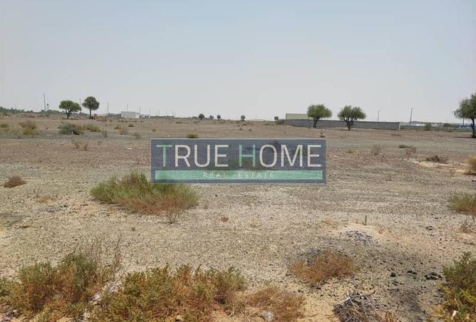 15794796 - صورة العقار 3