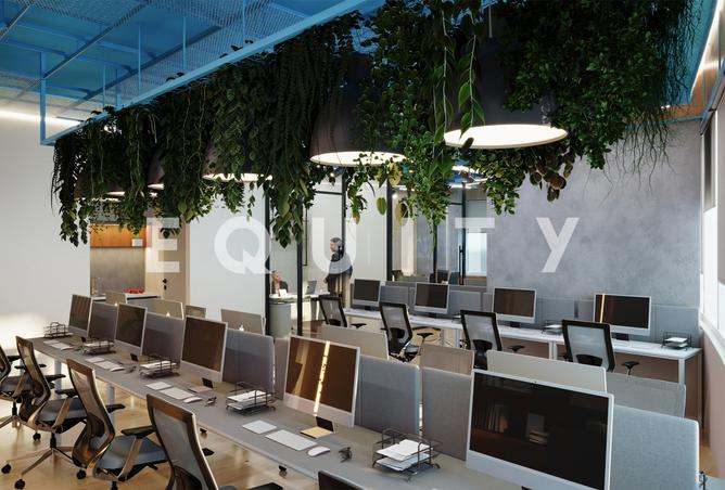 15557462 - صورة العقار 3