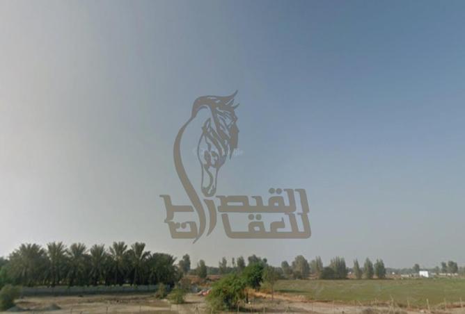 15417651 - Property Image 3