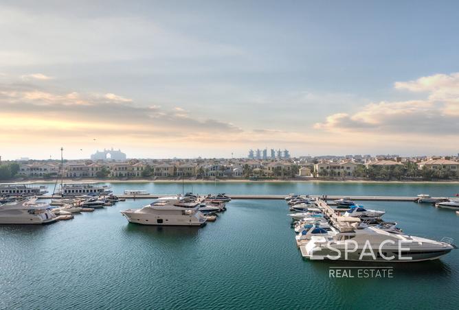 16075385 - صورة العقار 3