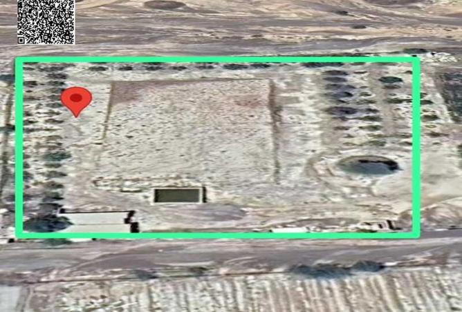 15590743 - Property Image 3